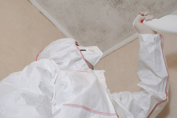 Best Mold Damage Repair  in Dothan, AL